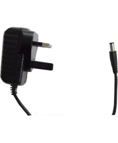 12V 250mA English plug power supply T406 