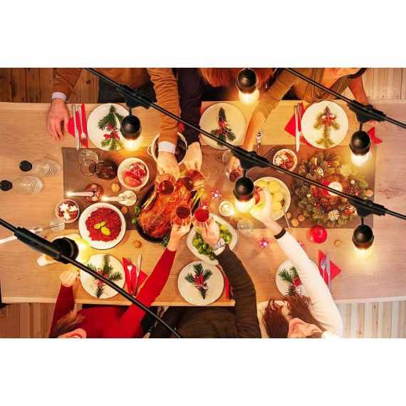 Chain of lights for outdoor E27 10 meters EL1942 