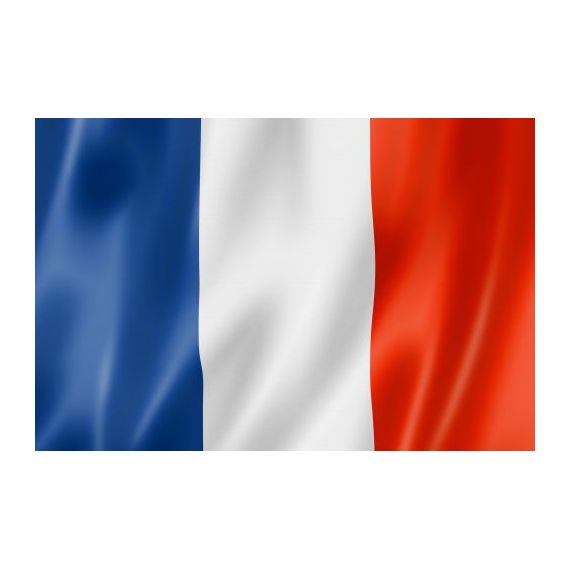 Bandiera Nazionale Francia 300x200cm A9240 