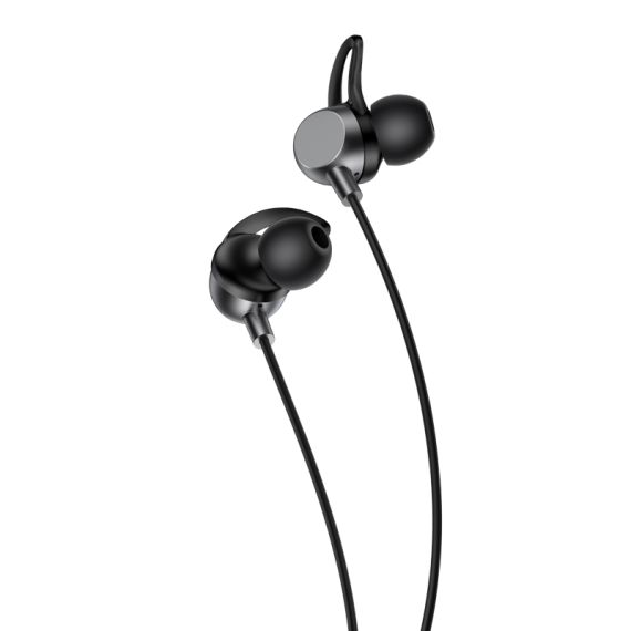 In-Ear Headphones with Microphone 1.2m Black F2830 