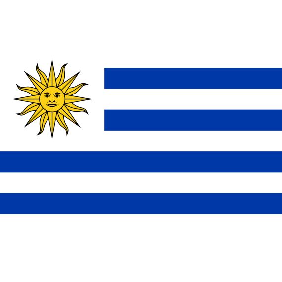 Drapeau national uruguay 335x200cm A9286 